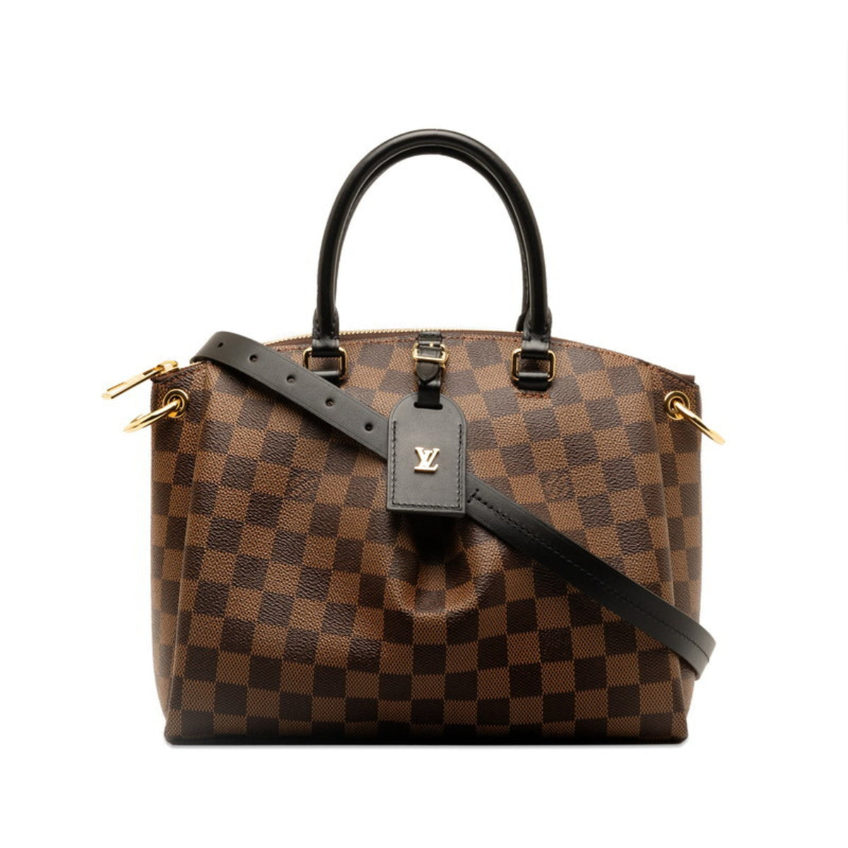 Louis Vuitton  Pvc Leather Handbag Shoulder Bag