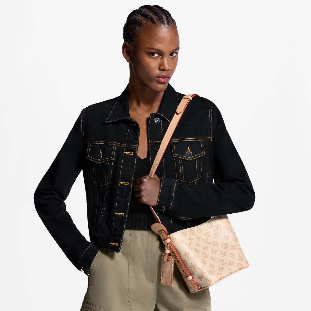 LV All In BB Monogram
